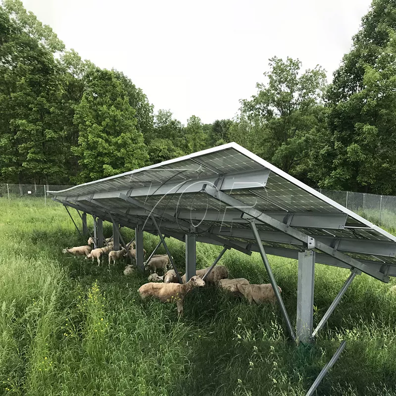 Solar Panels for Farm: Helping Agricultural Energy Sustainability to a Higher Level!