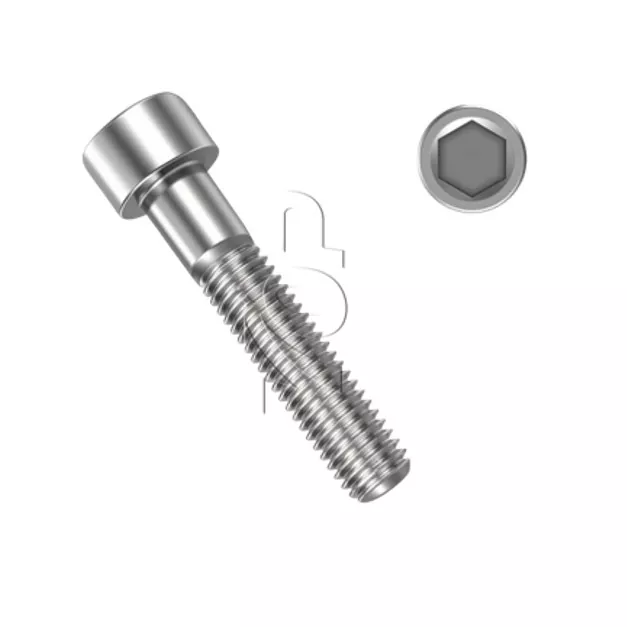 DIN 912 Bolt with Flange Nut