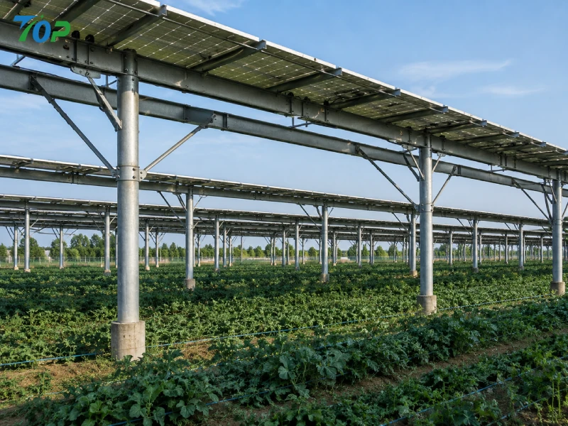 High-clearance agrivoltaic mounting structure with galvanized steel supports designed for agricultural machinery access